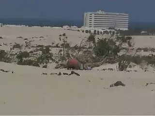 Rechte gratis pornofilm hd jock zuigt op pik en ballen van twink voor anaal